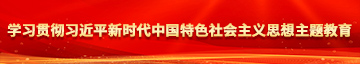 插穴嗷嗷嗷嗷叫爽啊视频学习贯彻习近平新时代中国特色社会主义思想主题教育